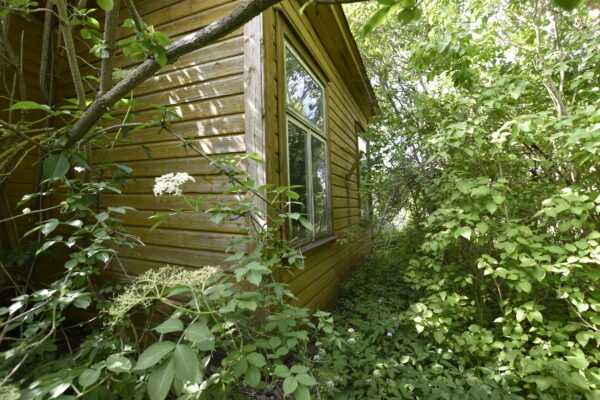 Kontori Koimla Saaremaa hoonestatud kinnistu - Image 24