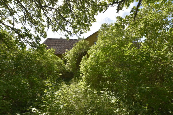Kontori Koimla Saaremaa hoonestatud kinnistu - Image 22