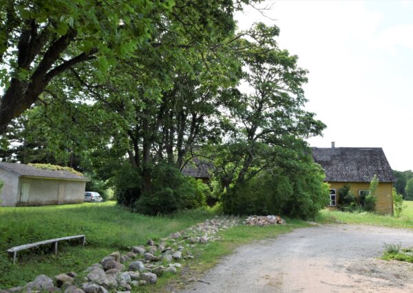 Kontori Koimla Saaremaa hoonestatud kinnistu - Image 20