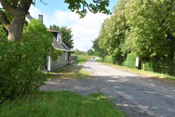 Kontori Koimla Saaremaa hoonestatud kinnistu - Image 18