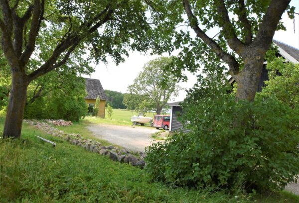 Kontori Koimla Saaremaa hoonestatud kinnistu - Image 17