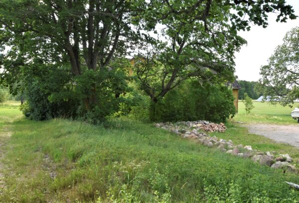 Kontori Koimla Saaremaa hoonestatud kinnistu - Image 16
