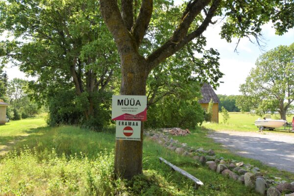 Kontori Koimla Saaremaa hoonestatud kinnistu - Image 15