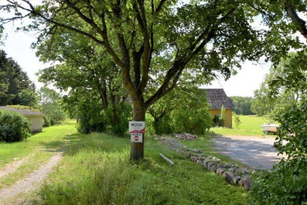 Kontori Koimla Saaremaa hoonestatud kinnistu - Image 14